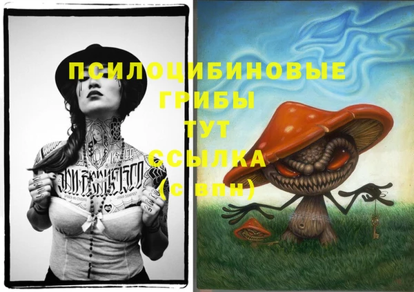 МДМА Дмитриев