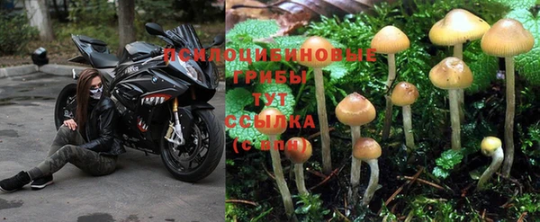 гашиш Беломорск