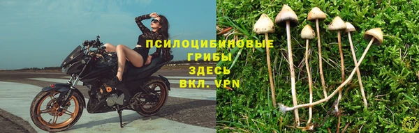 трава Белоозёрский