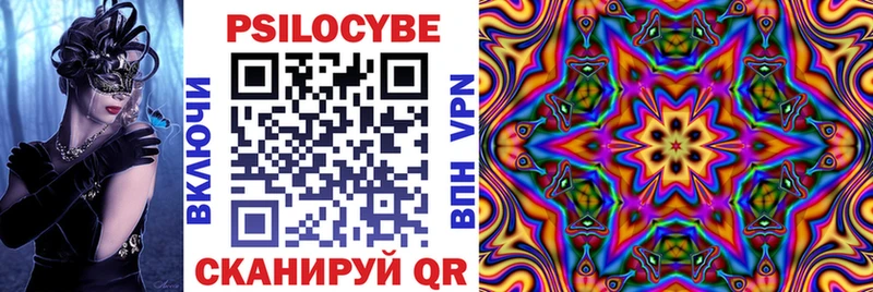 Псилоцибиновые грибы Psilocybine cubensis  Гусев 