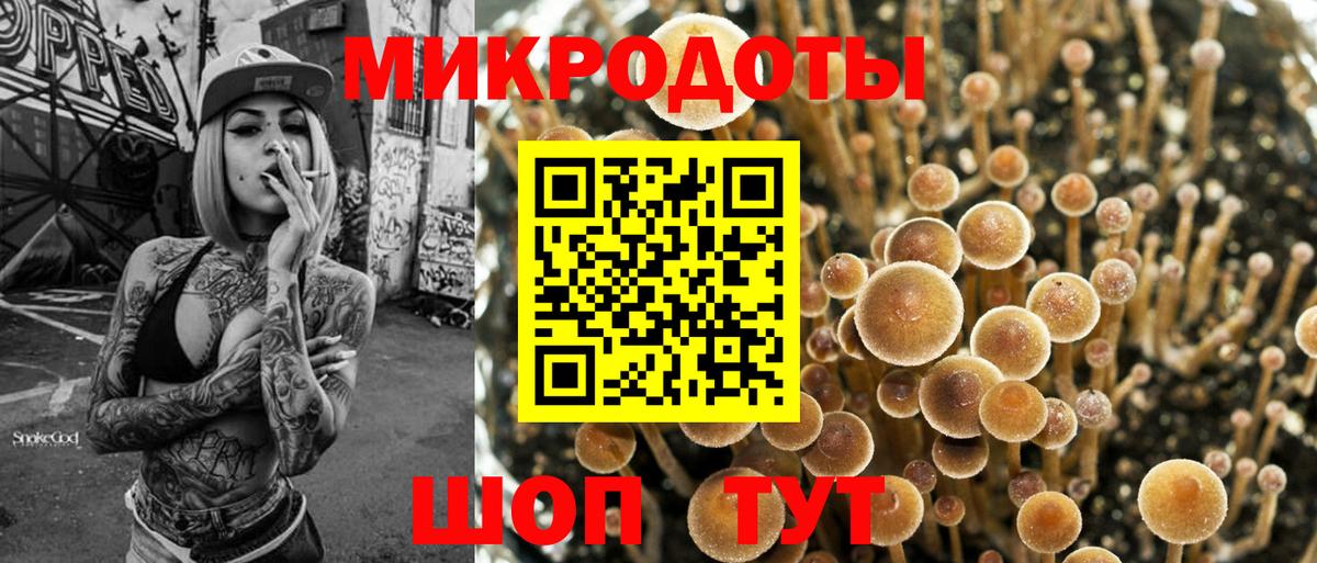 Гусев  Псилоцибиновые грибы мухоморы  Вход с VPN  Галлюциногенные грибы Psilocybe 